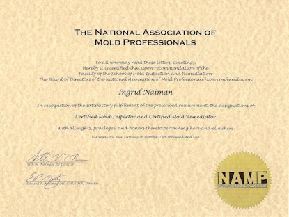 Mold Professional Certificate